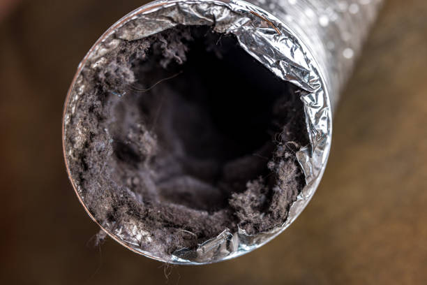 Best Ductwork Cleaning Services  in USA